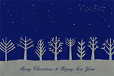 2011 winter
